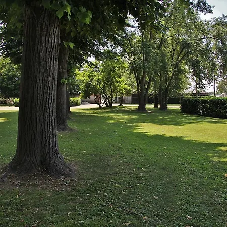 B&B Tenuta Ajrale 비고네