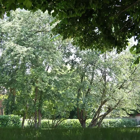 Tenuta Ajrale 4* 비고네