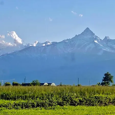 Tenuta Ajrale