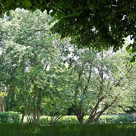 Bed & Breakfast Tenuta Ajrale Vigone